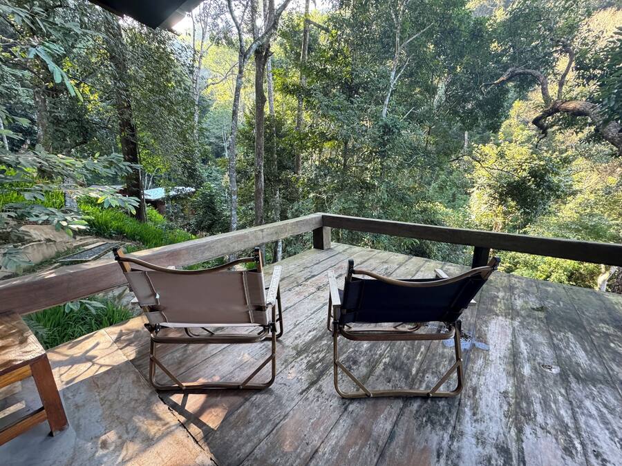 Two chairs on a wooden deck with a view of a forest.