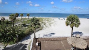A beach view with palm trees, a sandy path, and a thatched-roof structure.
