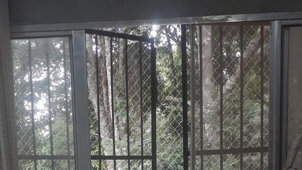 A room with a sliding glass door leading to an outdoor area with a metal gate and a ladder. - Cat boarding 🐱 Travel  (Maracanã Jarinu)