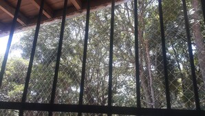 Vista attraverso una recinzione a maglie di metallo, con una struttura in legno sopra, circondata da fitta vegetazione.