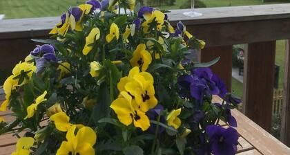 Traumhafte Ferienwohnung mit Seeblick pur
