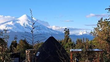 Standard Bungalow, Mountain View