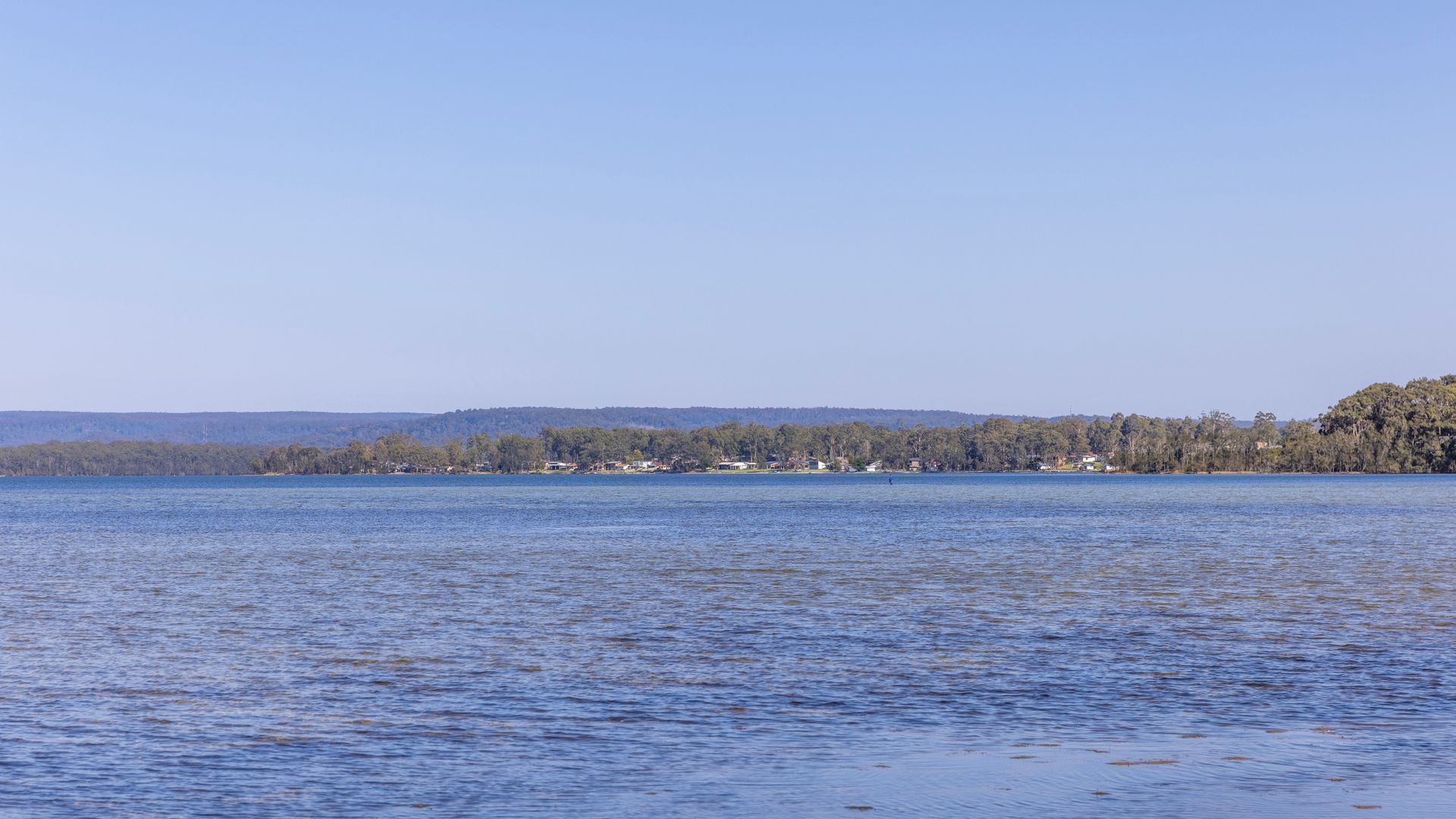 Ein ruhiger See mit bewaldeter Uferlinie und einigen Gebäuden in der Ferne.