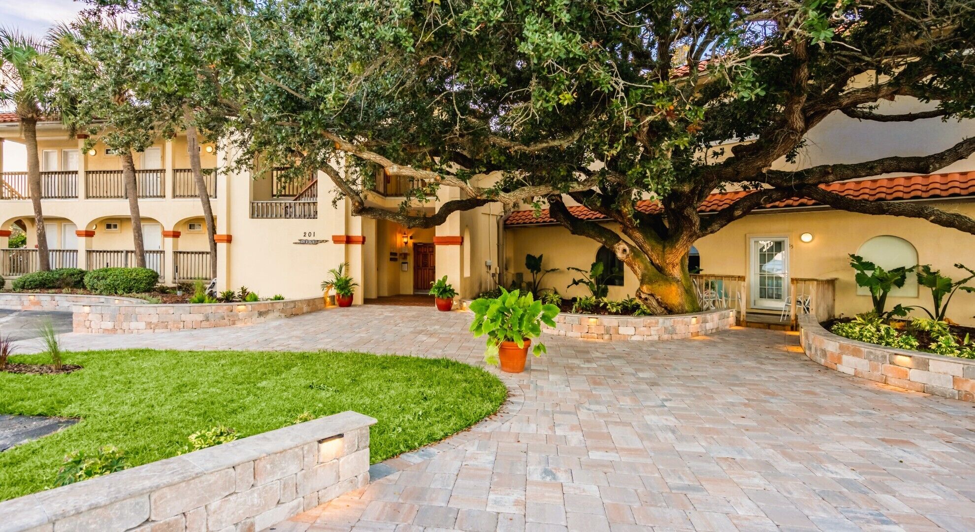 A courtyard with a large tree, potted plants, and a building with a tiled roof.
