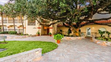 A courtyard with a large tree, potted plants, and a building with a tiled roof.