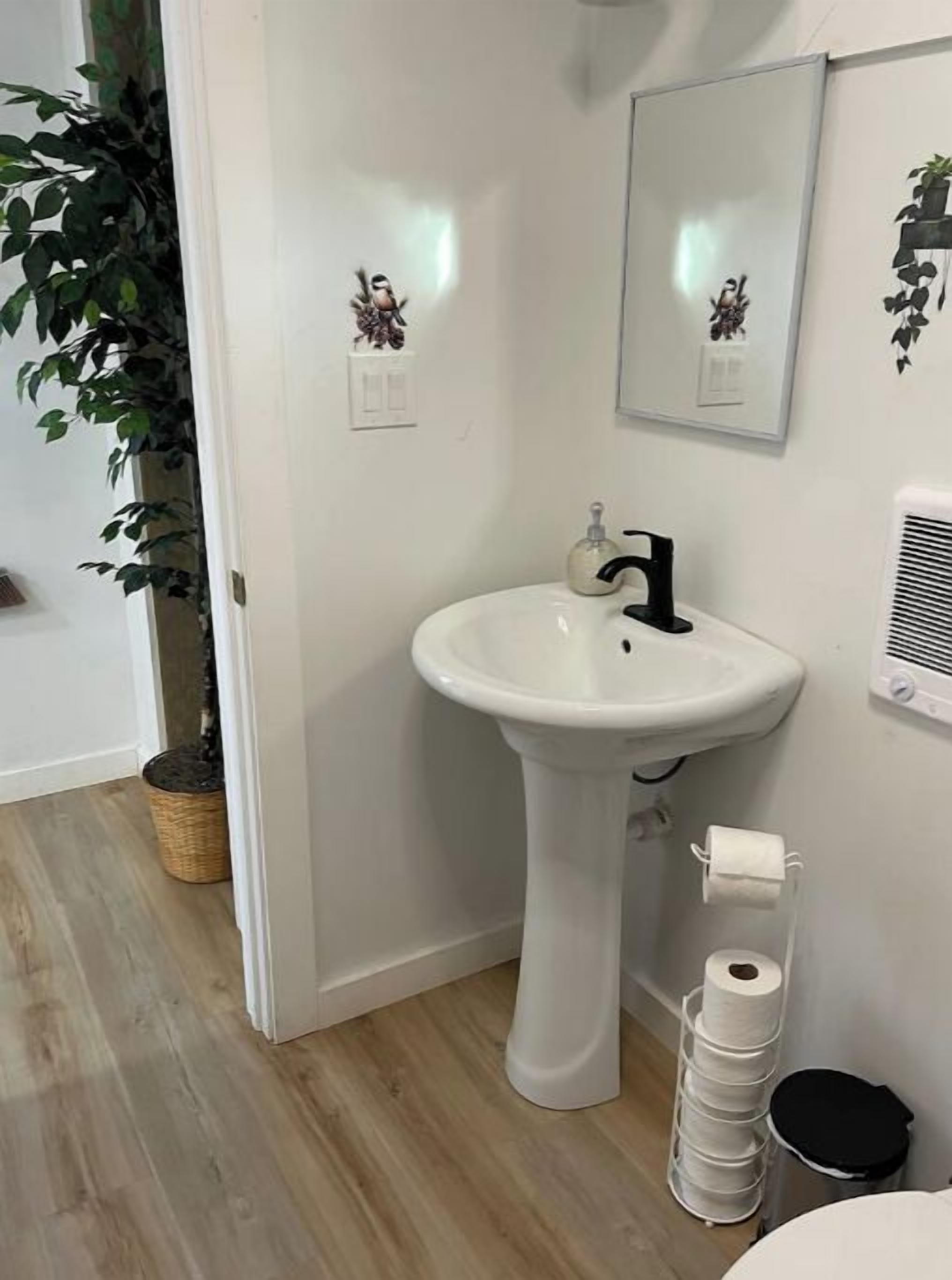 Un baño con un lavamanos pedestal blanco, un espejo, un dispensador de papel higiénico y una planta en maceta.