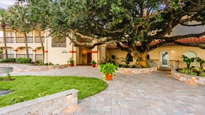 A courtyard with a large tree, potted plants, and a building with a tiled roof.