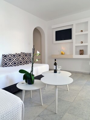 アパートメント パティオ コートヤードビュー | リビング エリア | テレビ