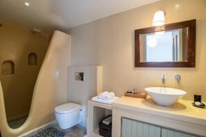 A bathroom with a white toilet, a sink with a large basin, and a mirror above the sink. - Villa Irini (Paros)