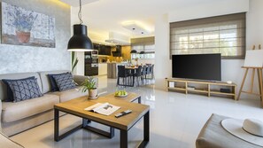 TV, fireplace, stereo - Villa Casta Diva in Viskovici (Viskovici)