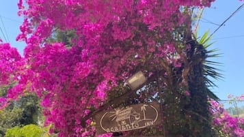 Entrada de l'allotjament