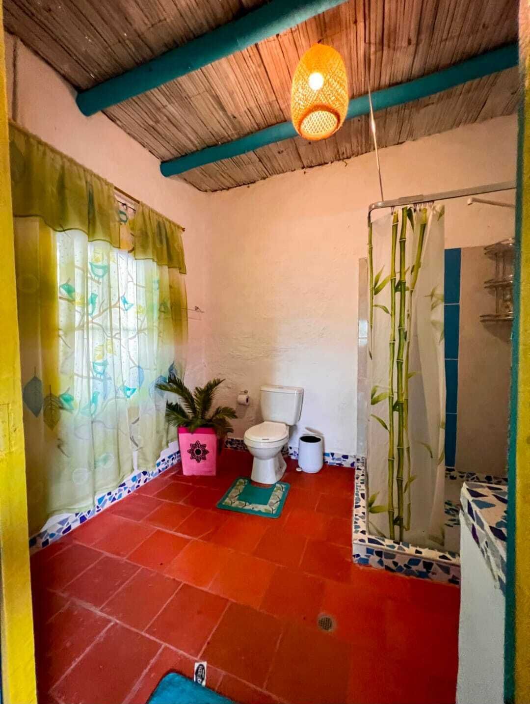 A bathroom with a toilet, shower, and a hanging light fixture.