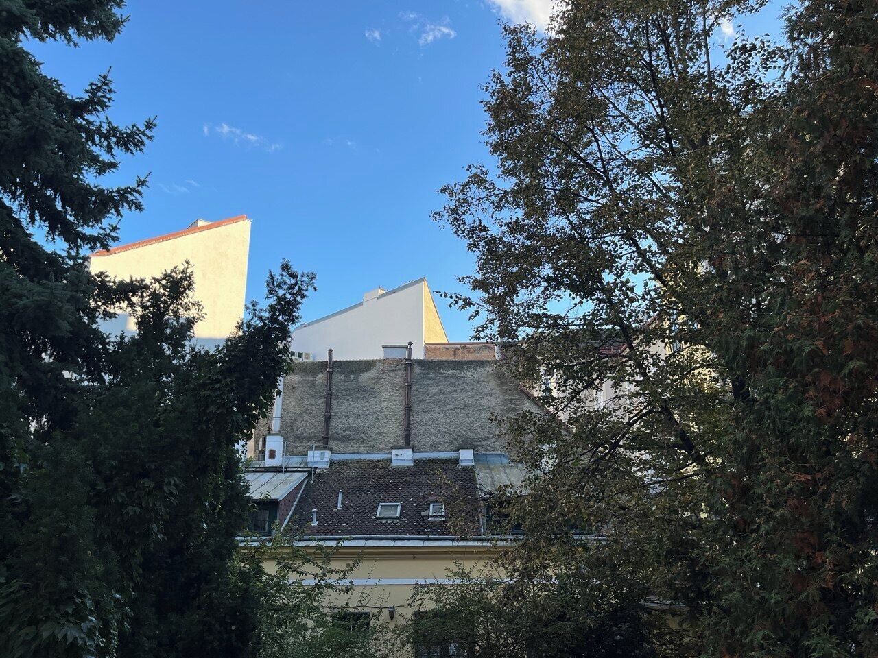 A building with a flat roof and a chimney, surrounded by trees.