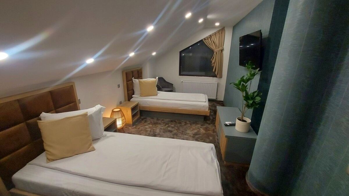 A compact hotel room with two single beds, a small desk, a chair, a potted plant, and a TV mounted on the wall.