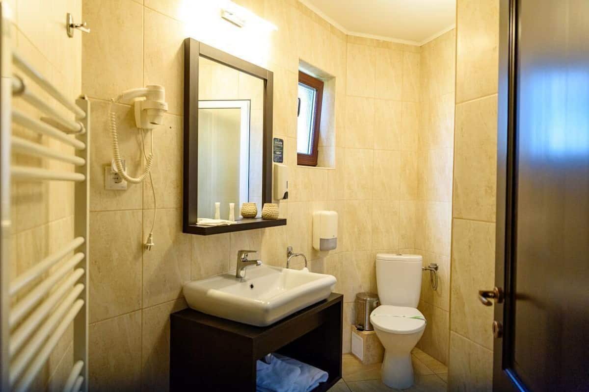 A bathroom with a sink, mirror, toilet, and a towel rack.