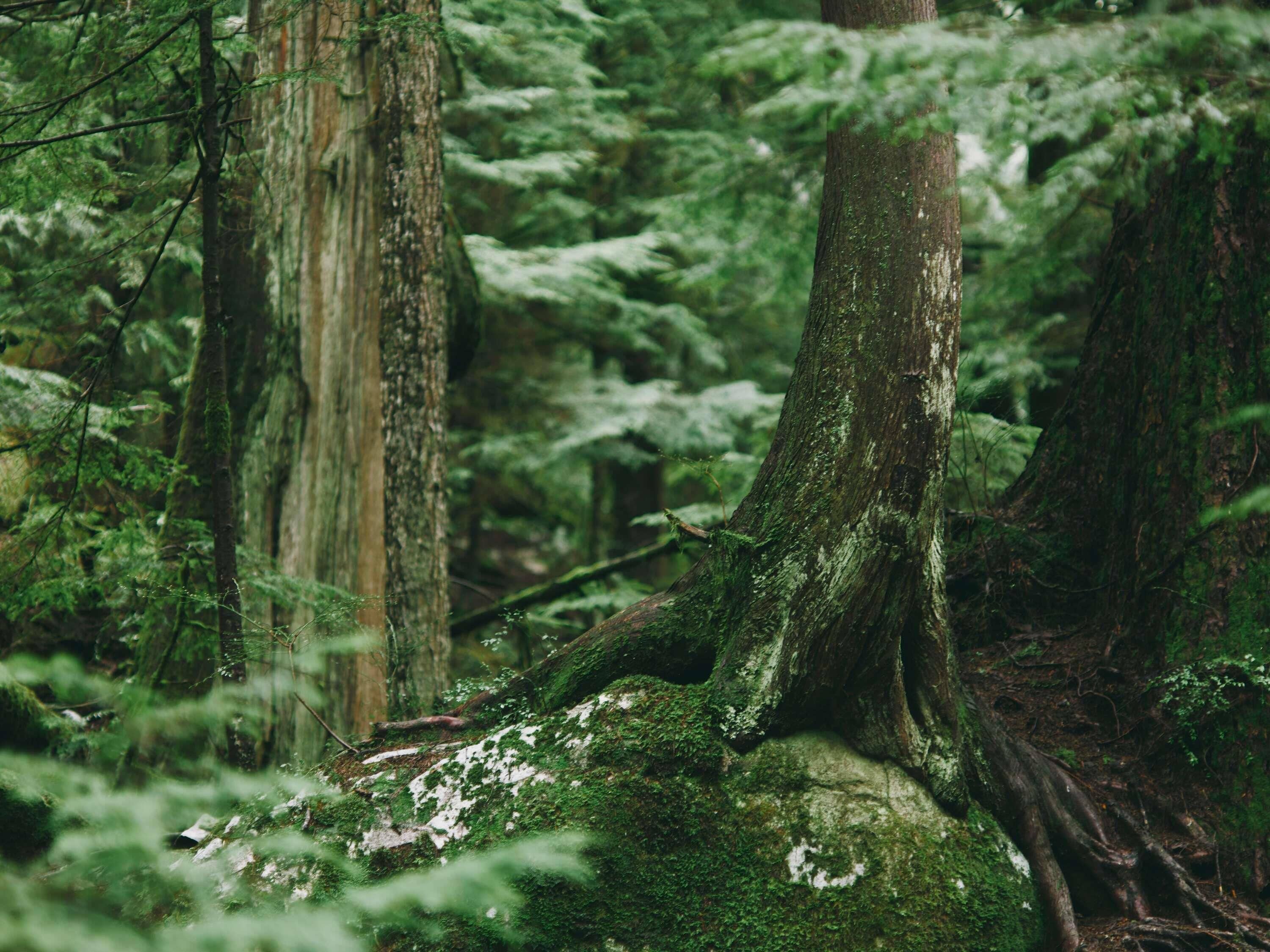 Photo - Fairmont La Hacienda Costa del Sol