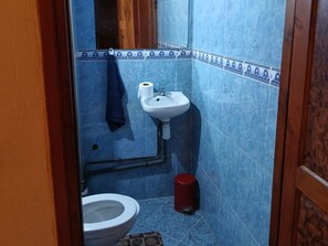 Chuveiro, toalhas de banho, papel higiênico 