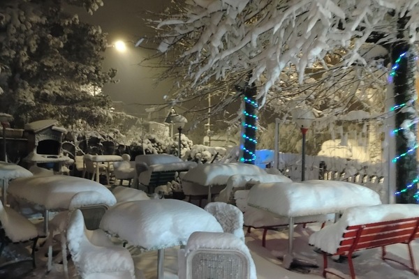 Blick auf den Garten