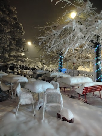 Vista para o jardim. hotel Veles