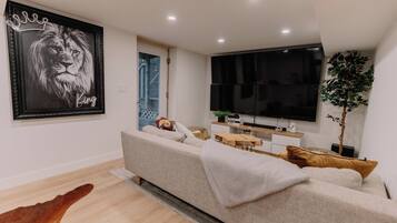 Smart TV, fireplace, books