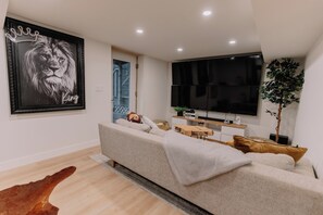 Smart TV, fireplace, books
