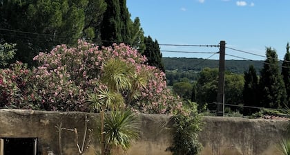 Magnifique Mas familial