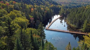 A bridge over a calm lake surrounded by dense forest. - Unique treehouse by the lake | Lodging #01 (Mont-Blanc)