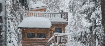 Treehouse #02 (Lakefront)