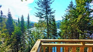 Une terrasse en bois donnant sur une zone boisée, avec un lac et des montagnes visibles au loin.