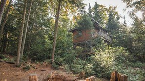 A wooden cabin elevated on stilts in a forested area with a dirt ground and several large tree stumps. - Lakefront treehouse, close to parking | Lodging #03 (Mont-Blanc)