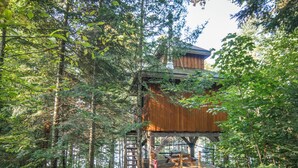 A wooden cabin with a ladder leading to a platform, surrounded by dense forest. - Lakefront treehouse, close to parking | Lodging #03 (Mont-Blanc)