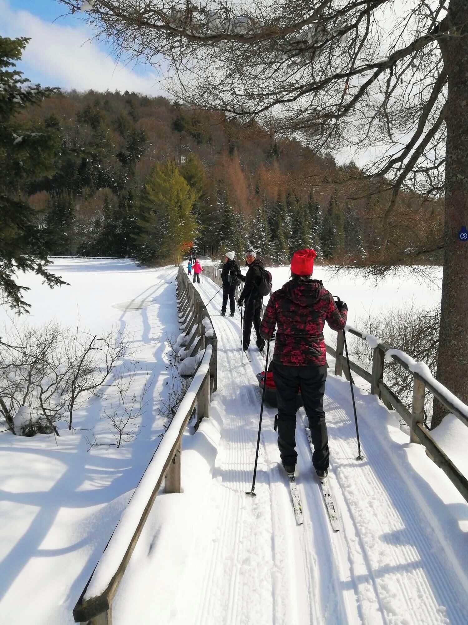 Un pont enneigé, doté de garde-corps, entouré d’arbres et surplombant un ciel dégagé.
