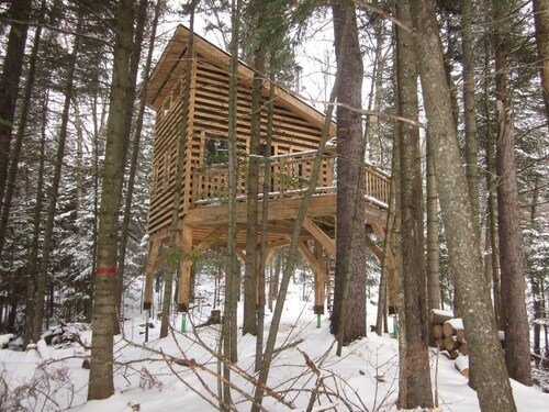 Treehouse #05 | The Bee