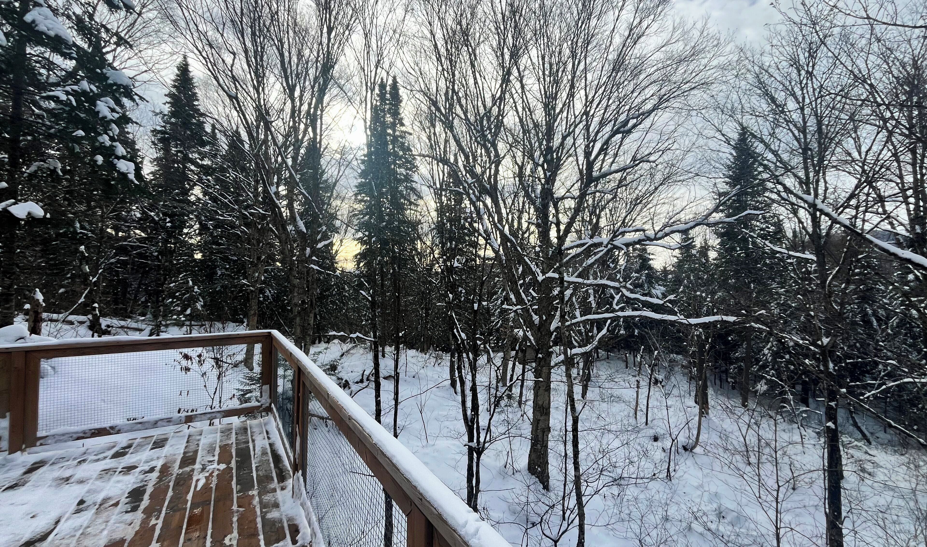 Àrea exterior de l'allotjament