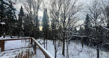 Treehouse between rocks, suspension bridge, rooftop | Lodging #06