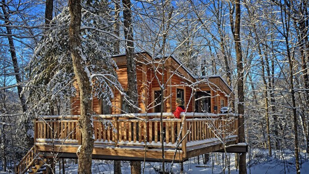 Une cabane en bois dotée d’une terrasse, entourée d’arbres couverts de neige.