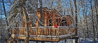 Treehouse #07 (In the forest)