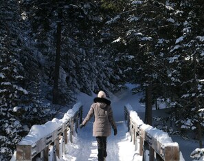 Esports d'hivern i esquí