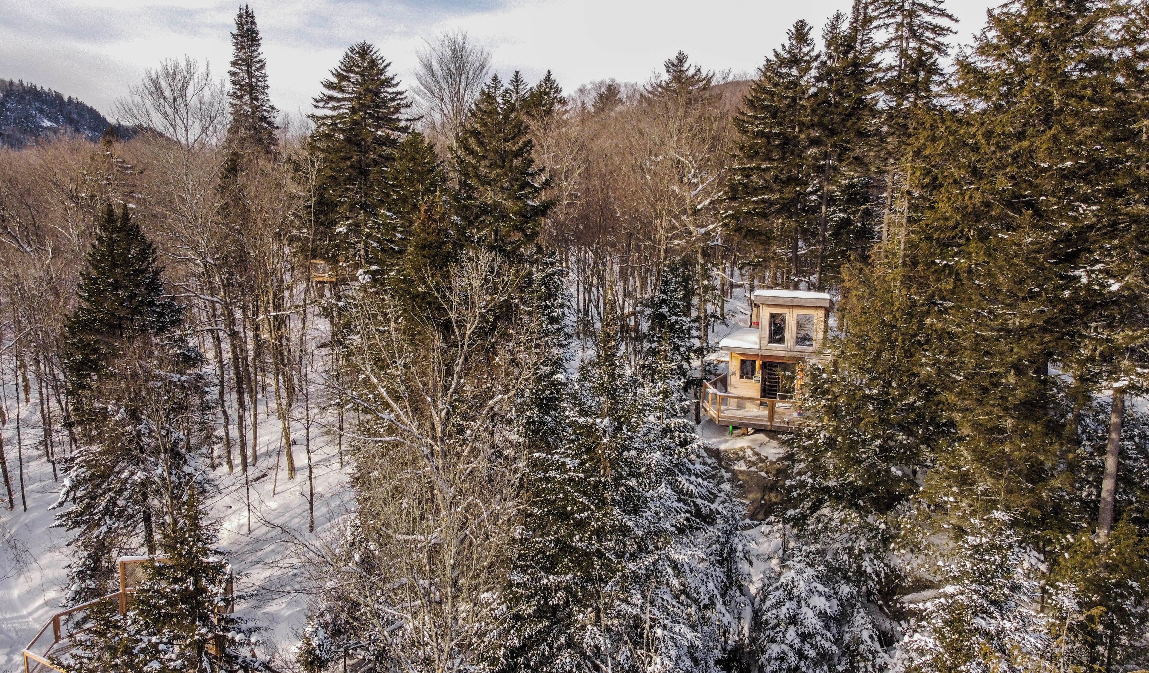 Una cabaña rodeada de árboles cubiertos de nieve en un bosque.