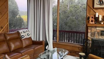 TV, fireplace, books