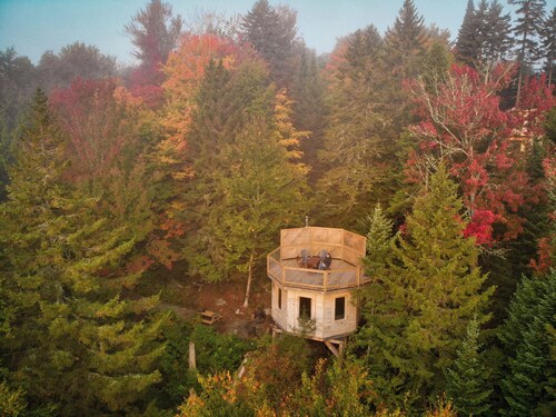 Treehouse #20 | The Rockhouse