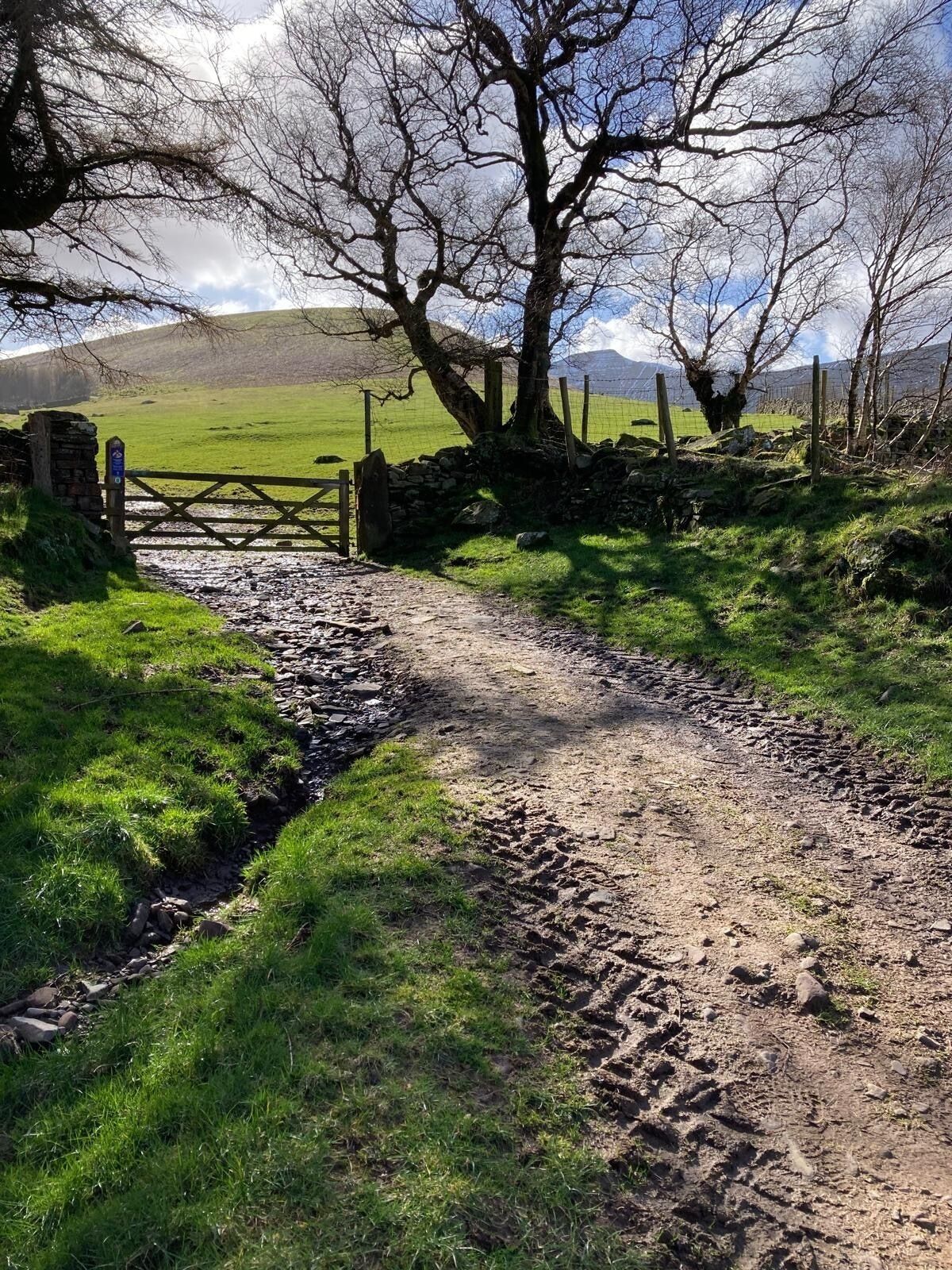 Camí rural amb una paret de pedra i una porta de fusta, que condueix a un prat.