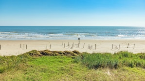 Ein Strand mit blauem Himmel, sandigem Ufer und etwas Vegetation im Vordergrund.