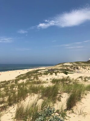 Playa