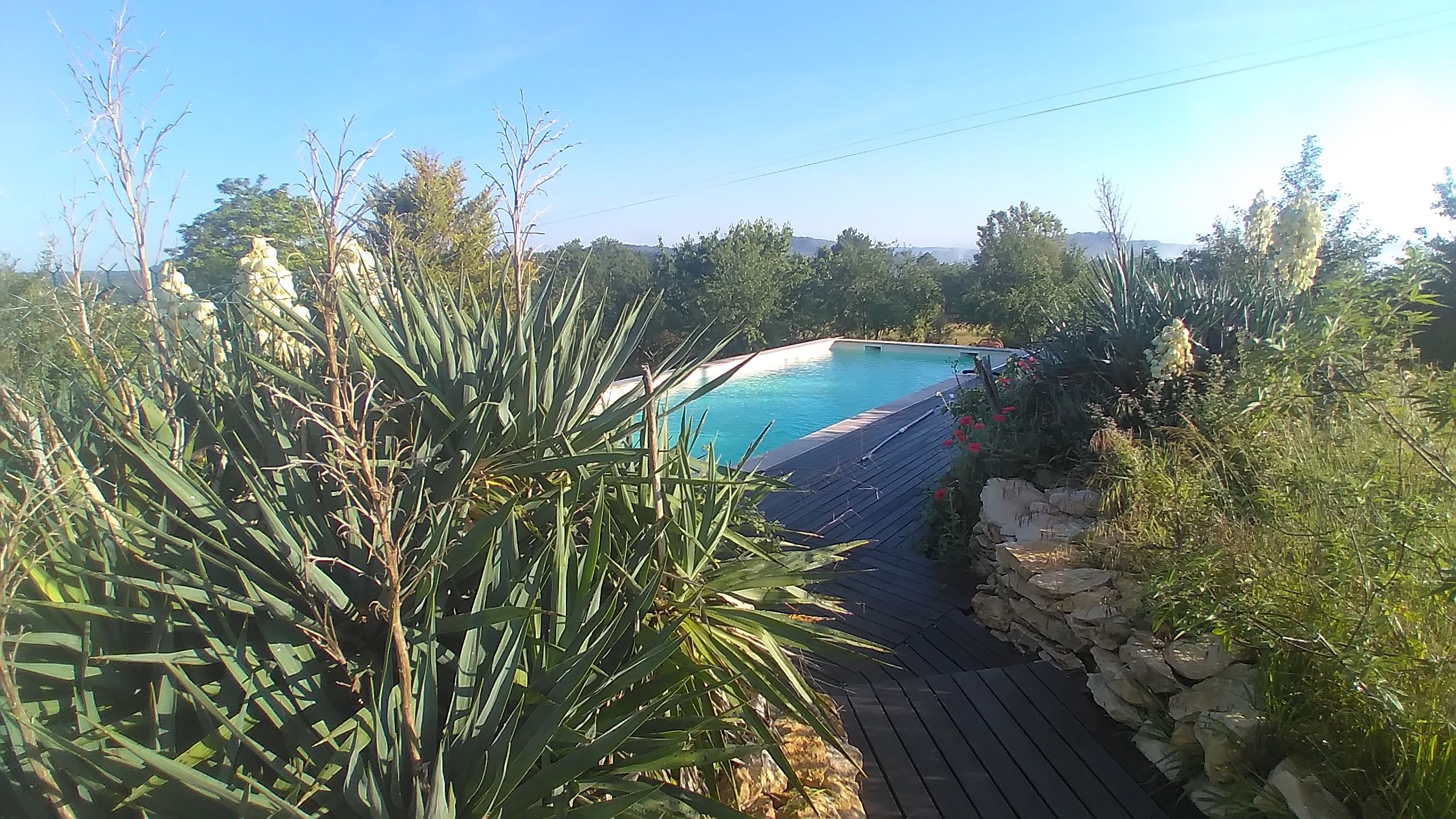 A swimming pool surrounded by lush greenery and a stone wall.