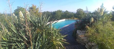A swimming pool surrounded by lush greenery and a stone wall.