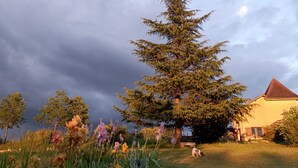 A house with a red roof, surrounded by a garden with various plants and a large evergreen tree. - Le Four à pain, golden triangle Dordogne valley, views garden park swimming pool (saint cybranet)