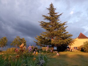 A house with a large tree in the yard, surrounded by various plants and flowers. - Le Four à pain, golden triangle Dordogne valley, views garden park swimming pool (saint cybranet)
