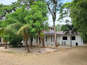 Unclassified image, 2 of 12, button - Palm House at Ceiba Beach Resort near Placencia Belize (Placencia)