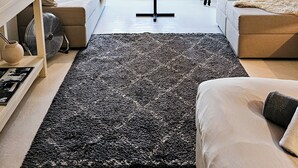 Una sala de estar moderna con un tapete negro grande, un sofá, una mesa de centro y vistas al exterior a través de una ventana con cortinas.